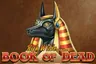 Book of Dead slot